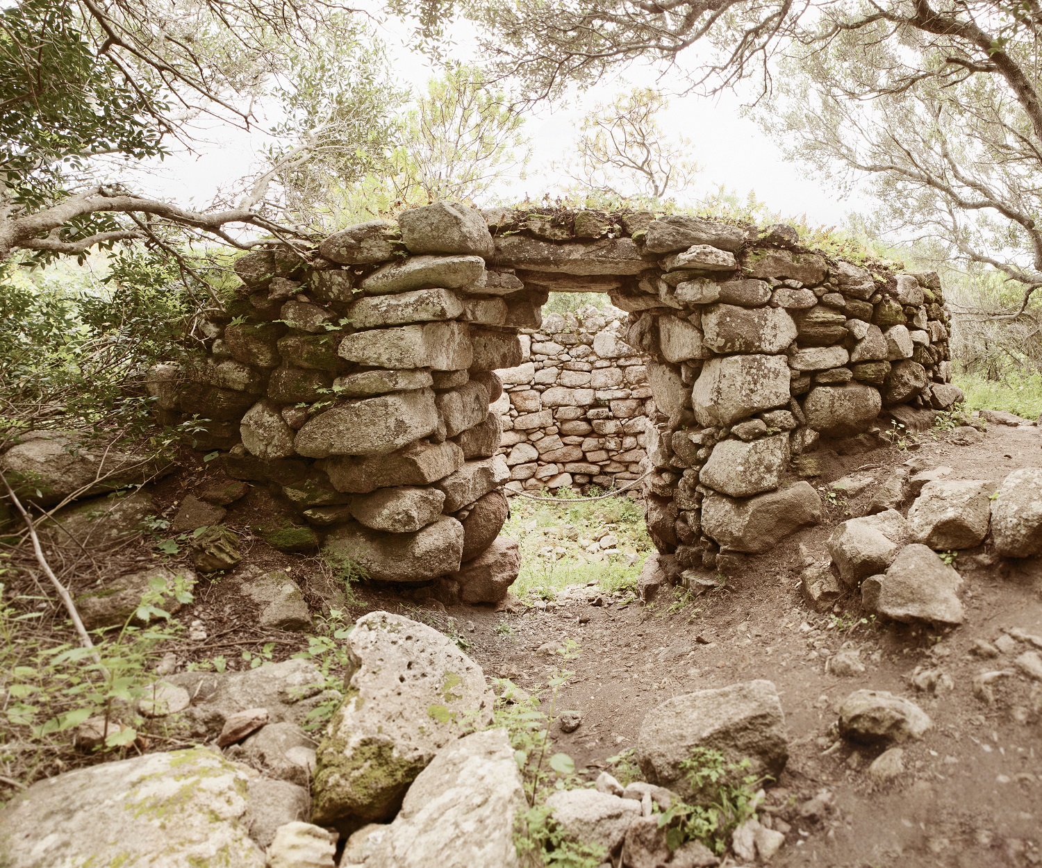 Architettura, l’arte di costruire. Il complesso nuragico di Lu  Brandali